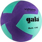 Мяч волейбольный GALA 170 Soft 12, облегченный, TPE, размер 5 /арт. BV5685SCF - Специализированный интернет-магазин мячей "Мячи-екб.рф"