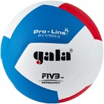Мяч волейбольный GALA Pro-Line 12, FIVB, профессиональный, размер 5 /арт. BV5595S - Специализированный интернет-магазин мячей "Мячи-екб.рф"